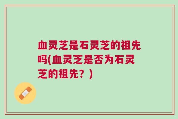 灵芝是石灵芝的祖先吗(灵芝是否为石灵芝的祖先？)