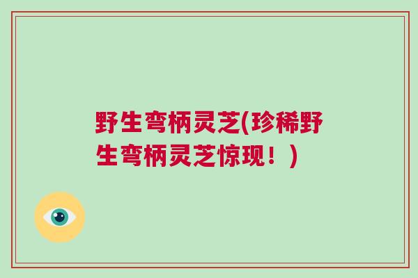 野生弯柄灵芝(珍稀野生弯柄灵芝惊现！)