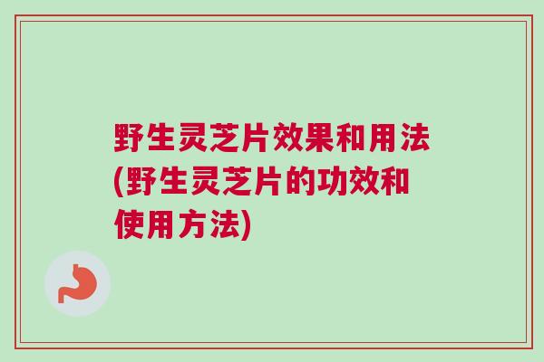 野生灵芝片效果和用法(野生灵芝片的功效和使用方法)