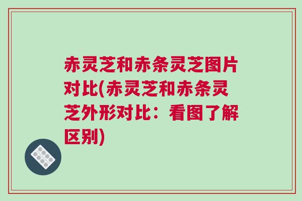赤灵芝和赤条灵芝图片对比(赤灵芝和赤条灵芝外形对比：看图了解区别)
