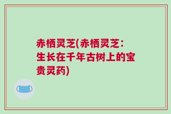 赤栖灵芝(赤栖灵芝：生长在千年古树上的宝贵灵药)