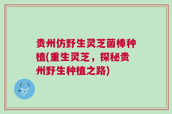 贵州仿野生灵芝菌棒种植(重生灵芝，探秘贵州野生种植之路)