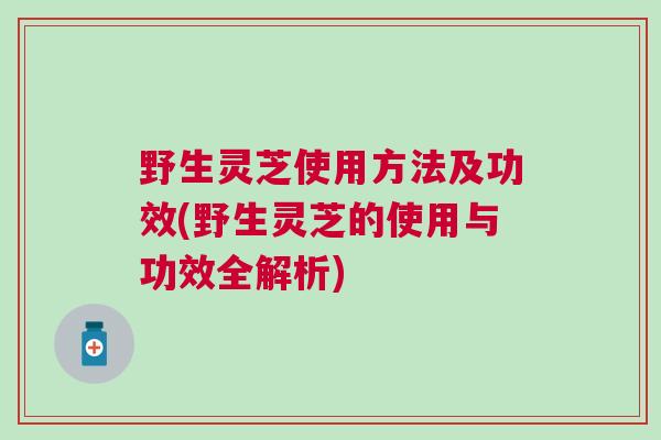 野生灵芝使用方法及功效(野生灵芝的使用与功效全解析)