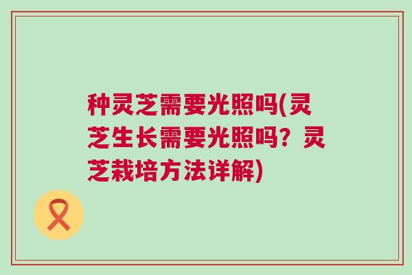 种灵芝需要光照吗(灵芝生长需要光照吗?灵芝栽培方法详解) 种灵芝需要光照吗(灵芝生长需要光照吗?灵芝栽培方法详解)