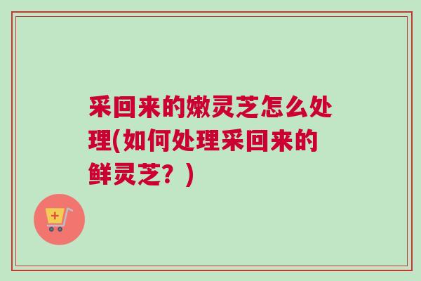 采回来的嫩灵芝怎么处理(如何处理采回来的鲜灵芝?)