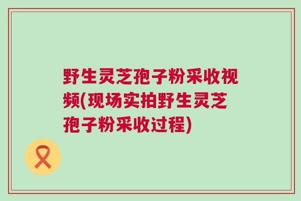 野生灵芝孢子粉采收视频(现场实拍野生灵芝孢子粉采收过程) 野生灵芝孢子粉采收视频(现场实拍野生灵芝孢子粉采收过程)
