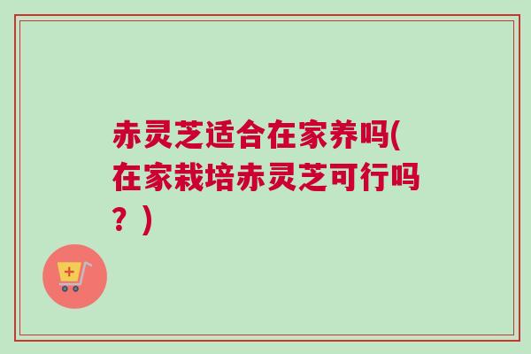 赤灵芝适合在家养吗(在家栽培赤灵芝可行吗？)