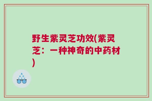 野生紫灵芝功效(紫灵芝：一种神奇的中药材)