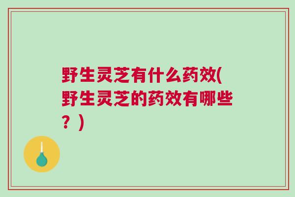 野生灵芝有什么药效(野生灵芝的药效有哪些？)