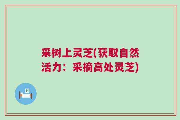 采树上灵芝(获取自然活力：采摘高处灵芝)