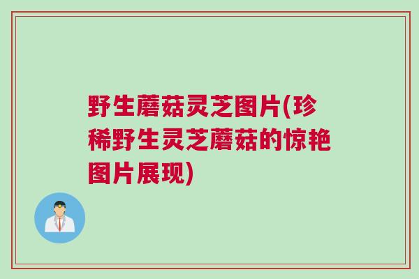 野生蘑菇灵芝图片(珍稀野生灵芝蘑菇的惊艳图片展现)