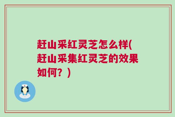 赶山采红灵芝怎么样(赶山采集红灵芝的效果如何?) 赶山采红灵芝怎么样(赶山采集红灵芝的效果如何?)