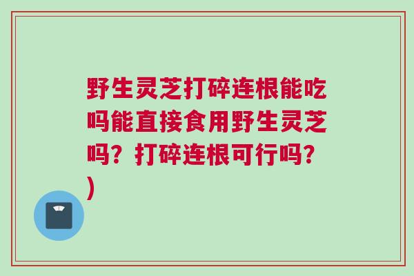 野生灵芝打碎连根能吃吗能直接食用野生灵芝吗？打碎连根可行吗？)