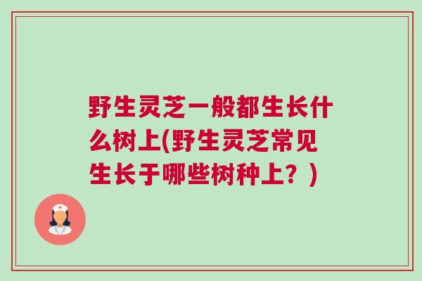 野生灵芝一般都生长什么树上(野生灵芝常见生长于哪些树种上？)