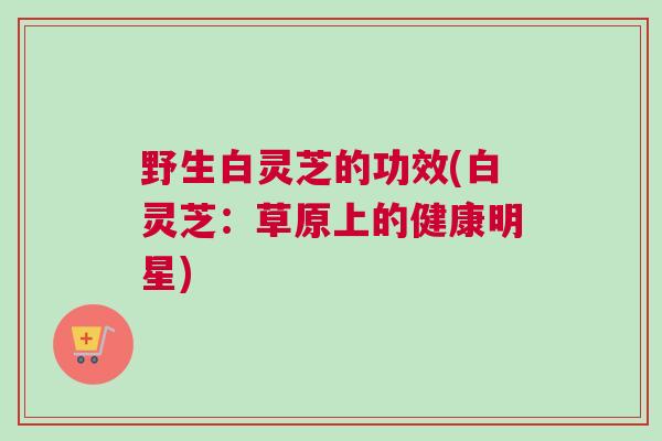 野生白灵芝的功效(白灵芝：草原上的健康明星)