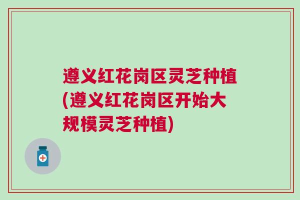 遵义红花岗区灵芝种植(遵义红花岗区开始大规模灵芝种植)