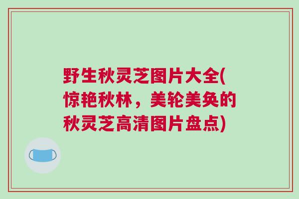 野生秋灵芝图片大全(惊艳秋林，美轮美奂的秋灵芝高清图片盘点)