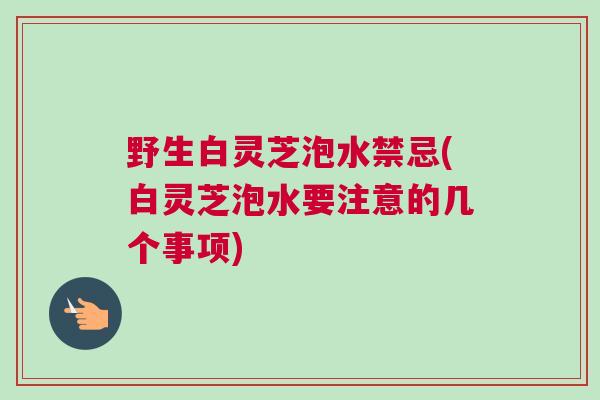 野生白灵芝泡水禁忌(白灵芝泡水要注意的几个事项)