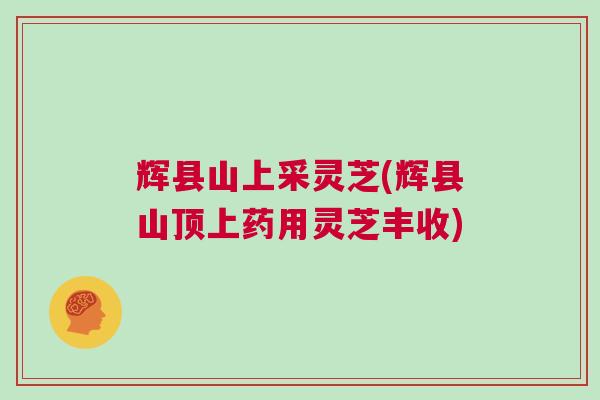 辉县山上采灵芝(辉县山顶上药用灵芝丰收)