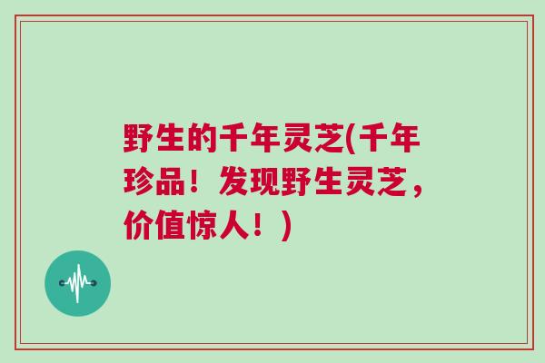 野生的千年灵芝(千年珍品！发现野生灵芝，价值惊人！)