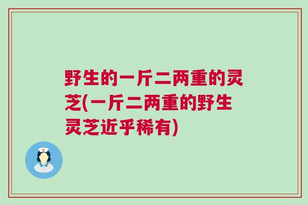 野生的一斤二两重的灵芝(一斤二两重的野生灵芝近乎稀有)