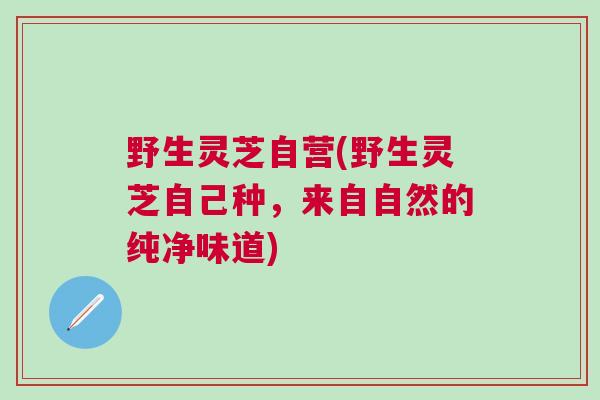 野生灵芝自营(野生灵芝自己种，来自自然的纯净味道)