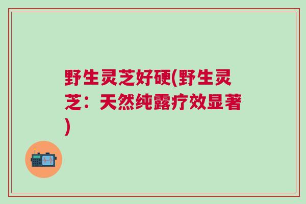 野生灵芝好硬(野生灵芝:天然纯露疗效显著) 野生灵芝好硬(野生灵芝:天然纯露疗效显著)