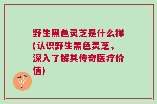 野生黑色灵芝是什么样(认识野生黑色灵芝，深入了解其传奇医疗价值)