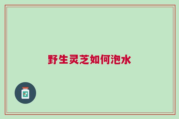 野生灵芝如何泡水