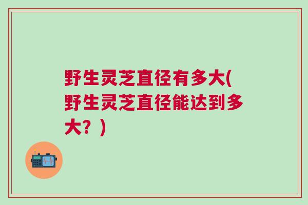 野生灵芝直径有多大(野生灵芝直径能达到多大？)