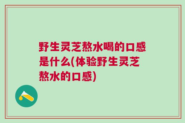 野生灵芝熬水喝的口感是什么(体验野生灵芝熬水的口感)