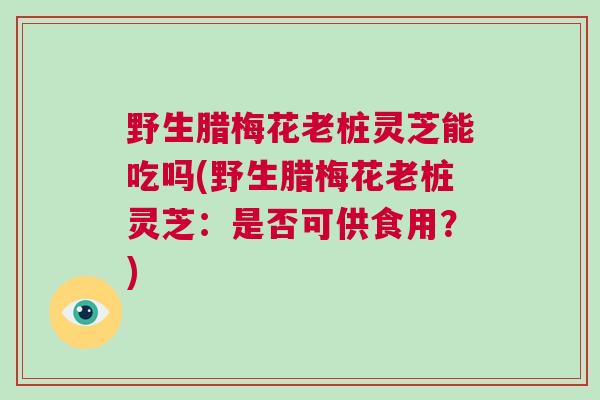 野生腊梅花老桩灵芝能吃吗(野生腊梅花老桩灵芝：是否可供食用？)