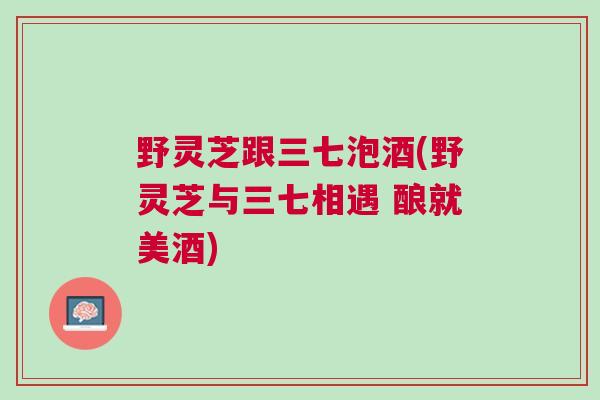 野灵芝跟三七泡酒(野灵芝与三七相遇 酿就美酒)