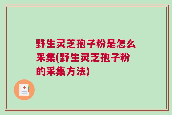 野生灵芝孢子粉是怎么采集(野生灵芝孢子粉的采集方法)