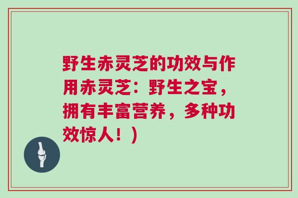 野生赤灵芝的功效与作用赤灵芝：野生之宝，拥有丰富营养，多种功效惊人！)
