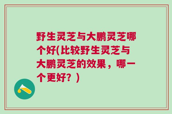 野生灵芝与大鹏灵芝哪个好(比较野生灵芝与大鹏灵芝的效果,哪一个更好?) 野生灵芝与大鹏灵芝哪个好(比较野生灵芝与大鹏灵芝的效果,哪一个更好?)