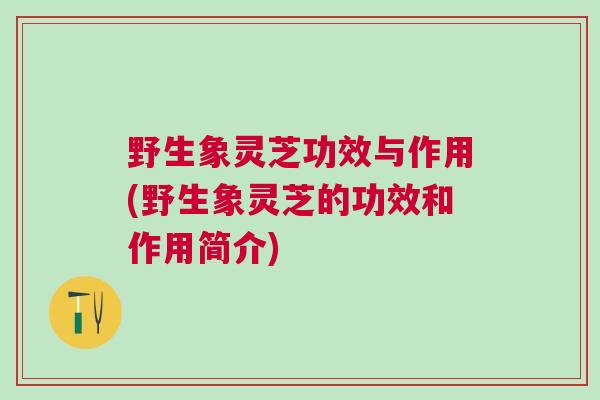 野生象灵芝功效与作用(野生象灵芝的功效和作用简介)
