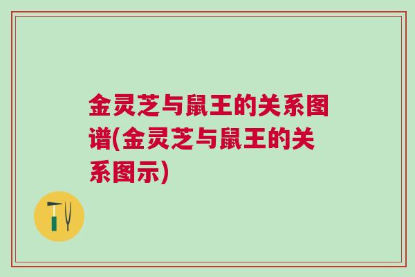 金灵芝与鼠王的关系图谱(金灵芝与鼠王的关系图示)