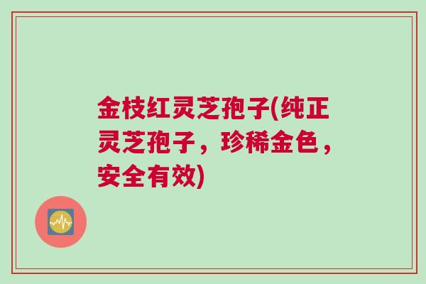金枝红灵芝孢子(纯正灵芝孢子，珍稀金色，安全有效)