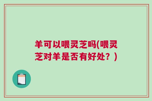 羊可以喂灵芝吗(喂灵芝对羊是否有好处？)