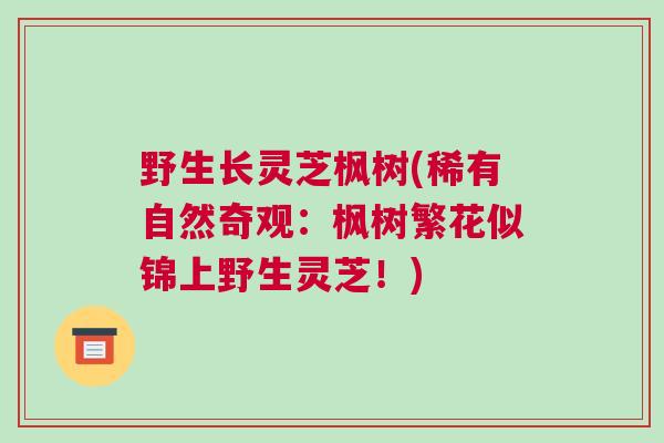 野生长灵芝枫树(稀有自然奇观：枫树繁花似锦上野生灵芝！)