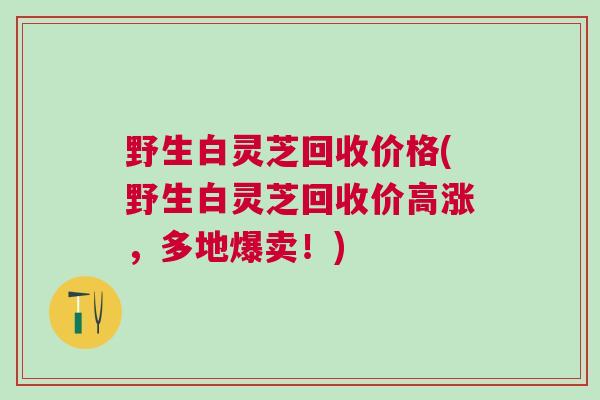 野生白灵芝回收价格(野生白灵芝回收价高涨,多地爆卖!) 野生白灵芝回收价格(野生白灵芝回收价高涨,多地爆卖!)