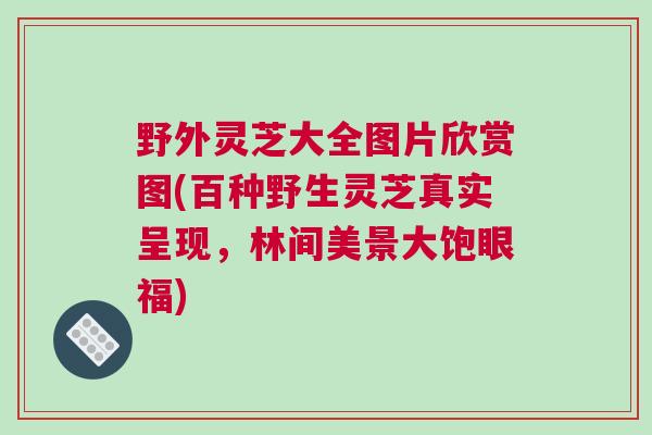 野外灵芝大全图片欣赏图(百种野生灵芝真实呈现，林间美景大饱眼福)
