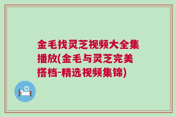 金毛找灵芝视频大全集播放(金毛与灵芝完美搭档-精选视频集锦) 金毛找灵芝视频大全集播放(金毛与灵芝完美搭档-精选视频集锦)