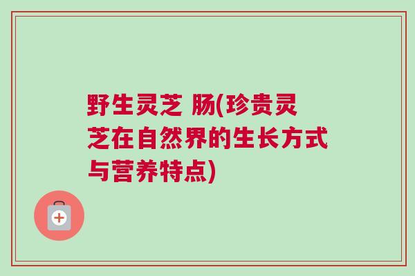 野生灵芝 肠(珍贵灵芝在自然界的生长方式与营养特点) 野生灵芝 肠(珍贵灵芝在自然界的生长方式与营养特点)