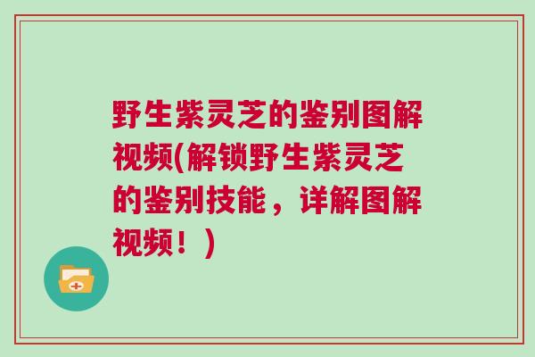 野生紫灵芝的鉴别图解视频(解锁野生紫灵芝的鉴别技能,详解图解视频!) 野生紫灵芝的鉴别图解视频(解锁野生紫灵芝的鉴别技能,详解图解视频!)