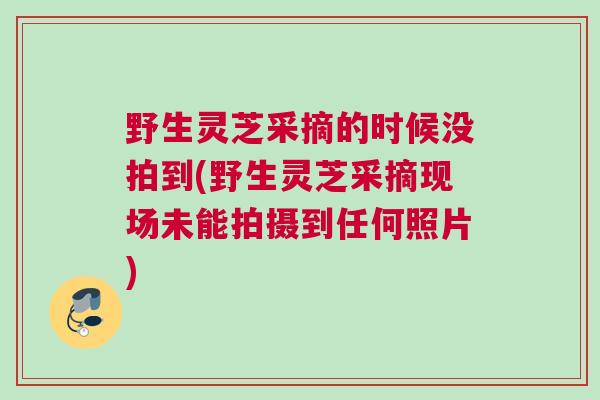 野生灵芝采摘的时候没拍到(野生灵芝采摘现场未能拍摄到任何照片)