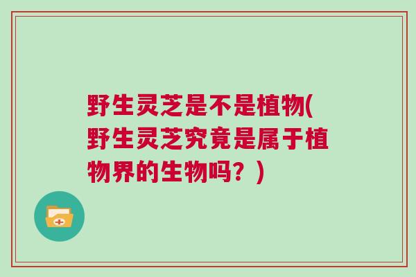 野生灵芝是不是植物(野生灵芝究竟是属于植物界的生物吗？)