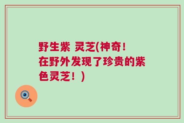 野生紫 灵芝(神奇!在野外发现了珍贵的紫色灵芝!) 野生紫 灵芝(神奇!在野外发现了珍贵的紫色灵芝!)