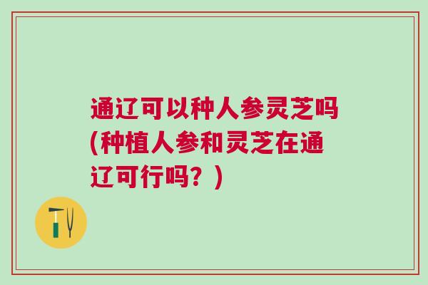 通辽可以种人参灵芝吗(种植人参和灵芝在通辽可行吗？)